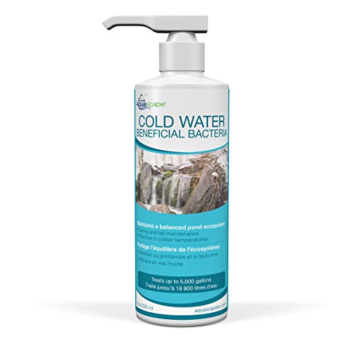 Aquascape Cold Water Bacteria 8 Oz