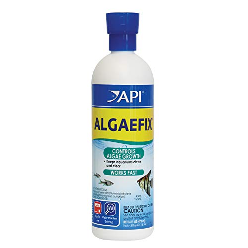API ALGAEFIX 16-Ounce Bottle