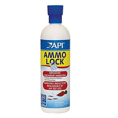 API AMMO-LOCK 16-Ounce
