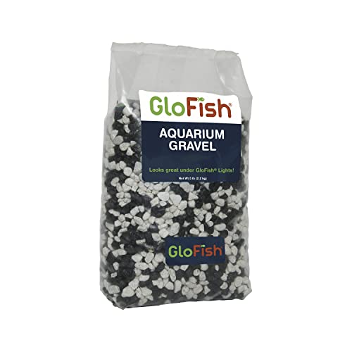 GloFish Black with Fluorescent