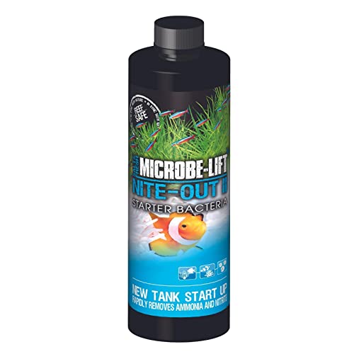 MICROBE-LIFT Nite-Out II 16 oz
