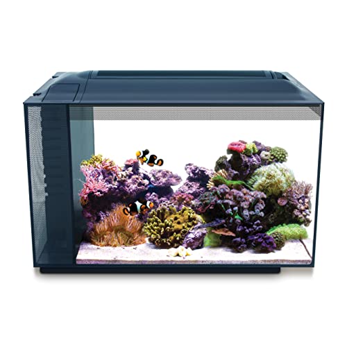 Fluval Evo XII Saltwater Aquarium Kit, 13.5 Gal. – Saltwater Fish Tank with...