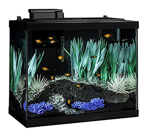 Tetra ColorFusion 20 Gallon Tank Kit