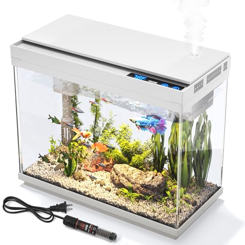 2.4 Gallon Vehipa Smart Aquarium