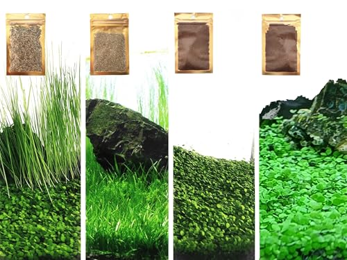 4 Bag Aquarium Plant S.e.e.ds, not Artificial Plastic Plant, Fish Tank Live...