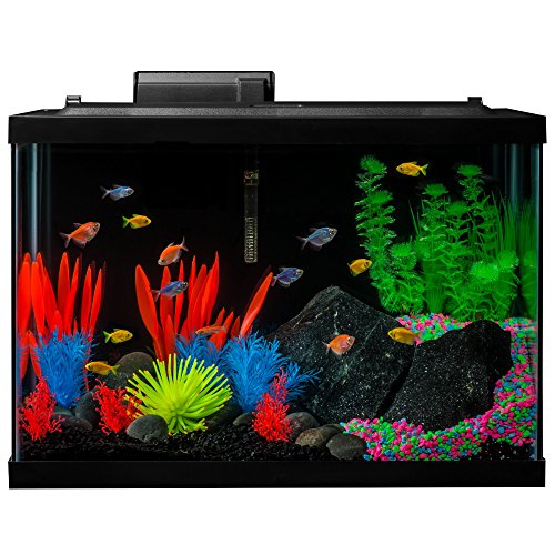 GloFish 20 Gallon LED Aquarium