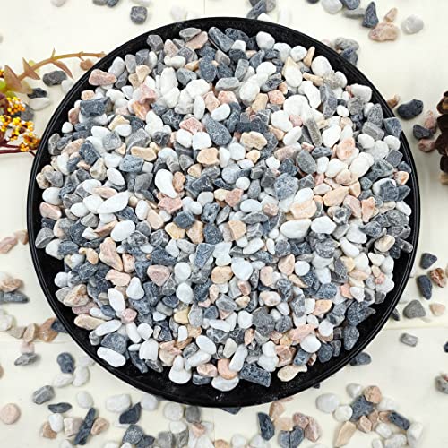 YISZM Succulent Gravel 2LB