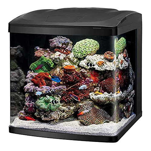 Coralife LED BioCube 32 Gallon