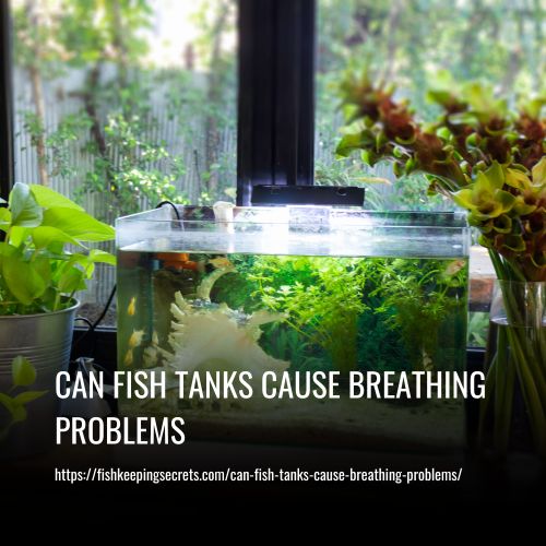 Read more about the article Can Fish Tanks Cause Breathing Problems