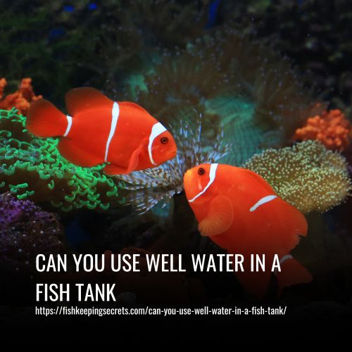 Can You Use Well Water In A Fish Tank
