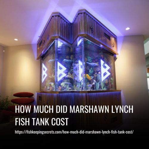 How Much Did Marshawn Lynch Fish Tank Cost