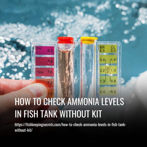 Read more about the article How To Check Ammonia Levels In Fish Tank Without Kit