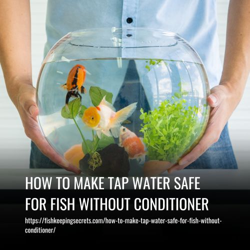 How To Make Tap Water Safe For Fish Without Conditioner