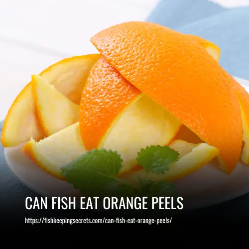 can fish eat orange peels