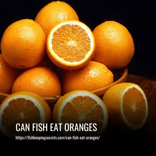 can fish eat oranges