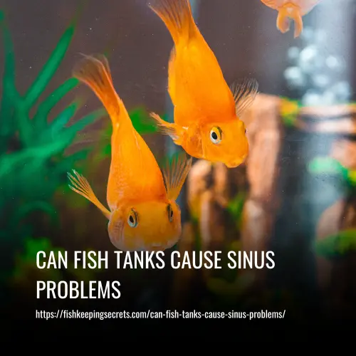 can fish tanks cause sinus problems