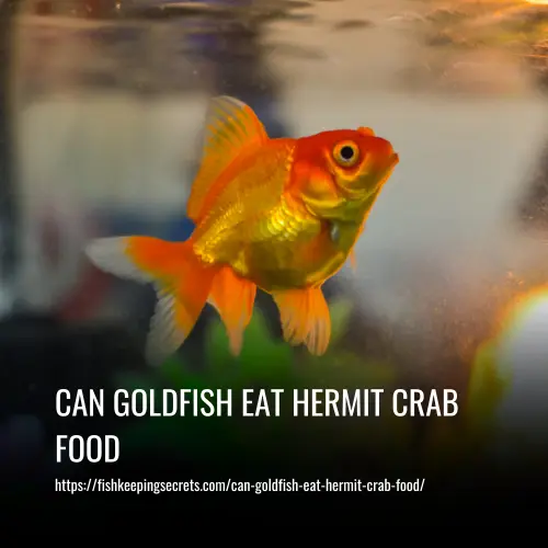 can goldfish eat hermit crab food