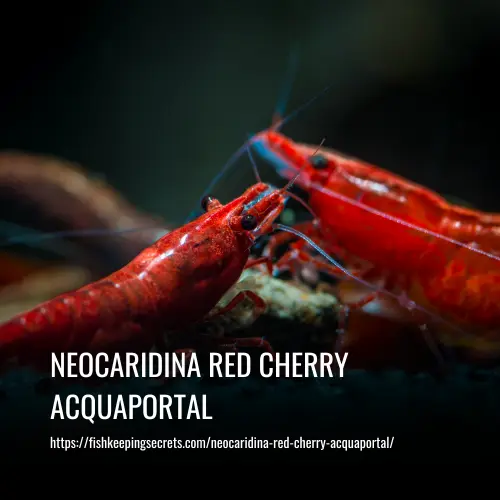Read more about the article Neocaridina Red Cherry Acquaportal