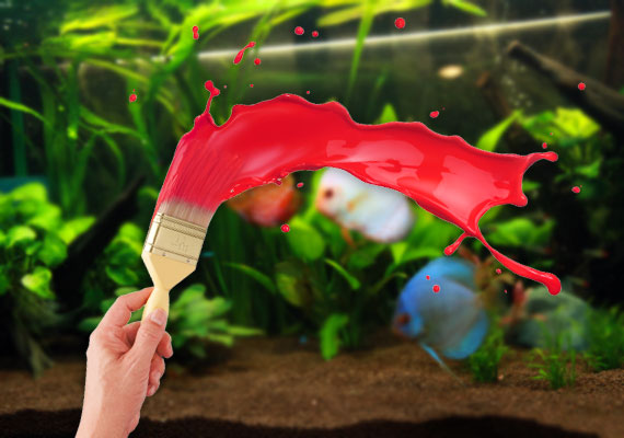 Read more about the article Solve Foam Troubles in Your Fish Tank: Quick and Effective Ways