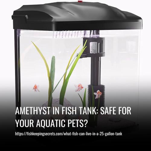 Amethyst in Fish Tank: Safe for Your Aquatic Pets?