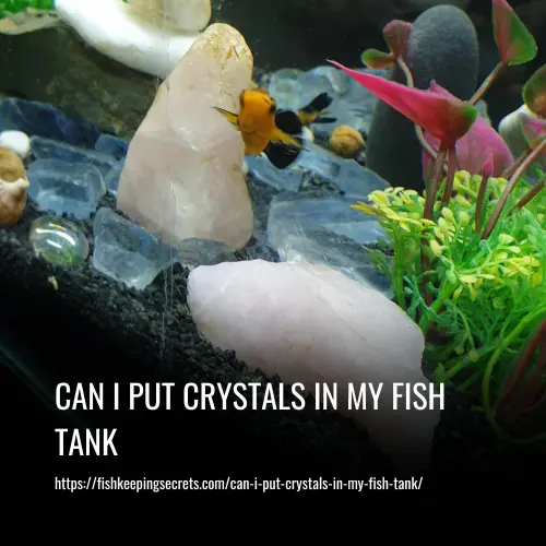 Can I Put Crystals In My Fish Tank