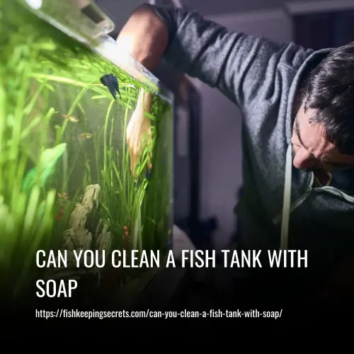 Can You Clean A Fish Tank With Soap