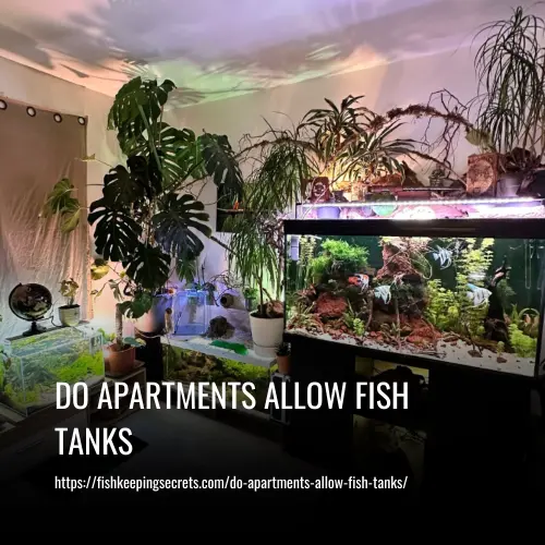 Read more about the article Do Apartments Allow Fish Tanks