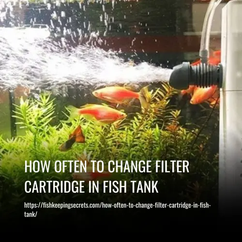 Read more about the article How Often To Change Filter Cartridge In Fish Tank