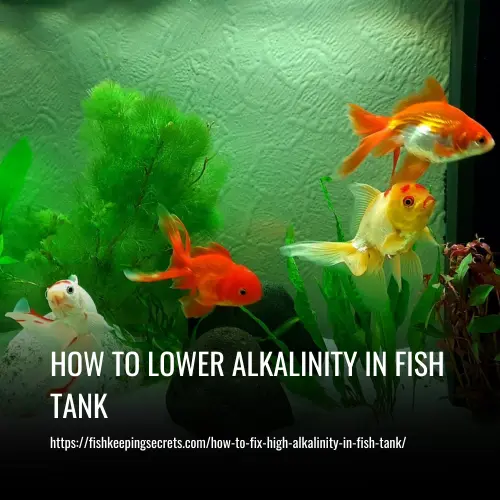 Read more about the article How to Lower Alkalinity in Fish Tank