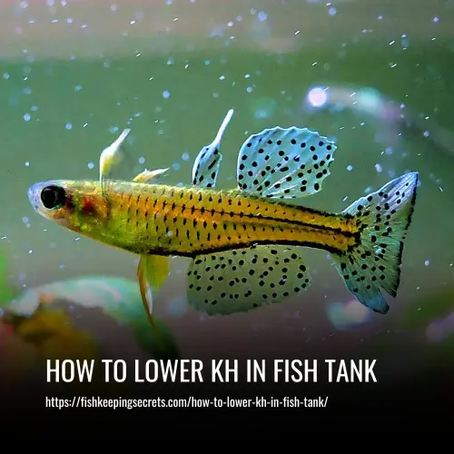 Read more about the article How To Lower KH In Fish Tank