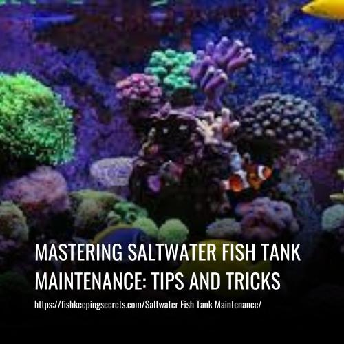 Read more about the article Mastering Saltwater Fish Tank Maintenance: Tips and Tricks