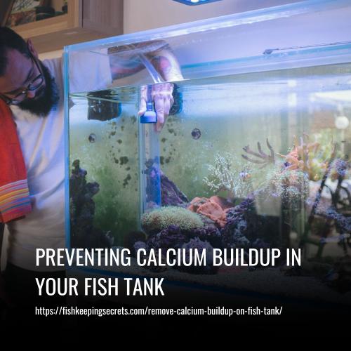 Read more about the article Preventing Calcium Buildup in Your Fish Tank