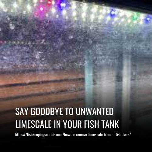 Say Goodbye to Unwanted Limescale in Your Fish Tank