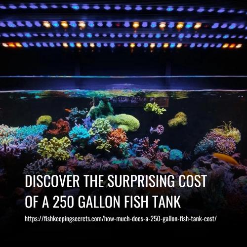 Read more about the article Discover the Surprising Cost of a 250 Gallon Fish Tank