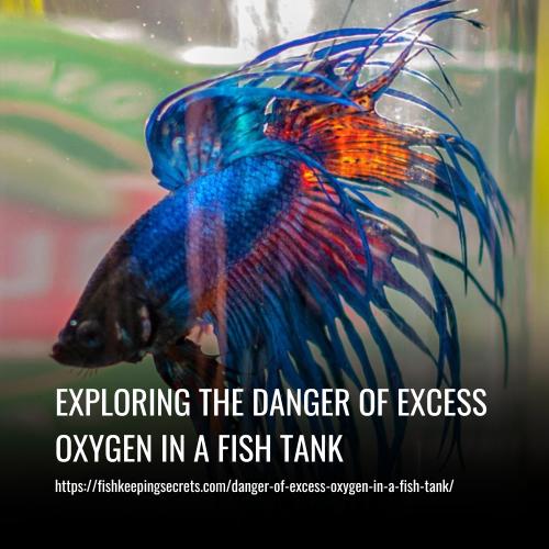 Read more about the article Exploring the Danger of Excess Oxygen in a Fish Tank